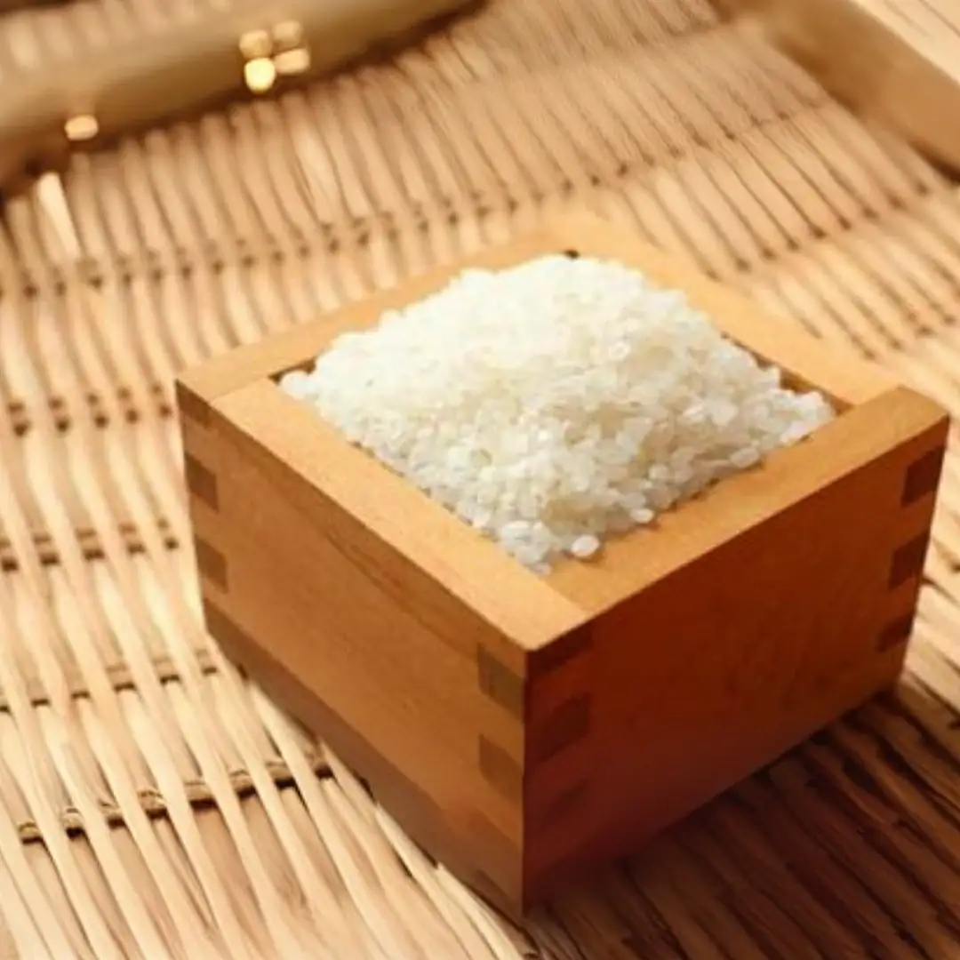 【3回定期便】令和7年産 コシヒカリ 5kg | コシヒカリ 白米 米 新潟県産 五泉市