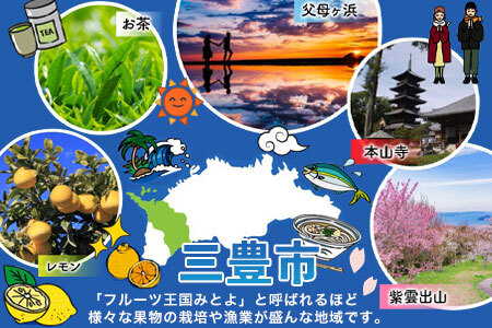 【納税】焙煎ミックスナッツ(3種の無塩) 　1kg(500g×2袋)
