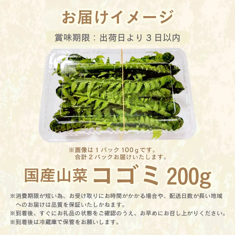 【先行予約】【季節限定】国産山菜 コゴミ 美浜町の春をお届け【2027年3月下旬以降順次発送予定】【こごみ  山菜 】 [m47-a025]