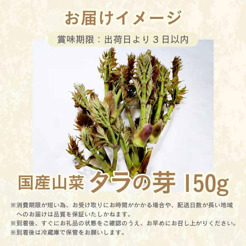 【先行予約】【季節限定】国産山菜 タラの芽 美浜町の春をお届け【2027年3月下旬以降順次発送予定】【 山菜 たらの芽 】 [m47-a026]