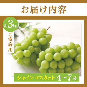 【2026年9月上旬～10月中旬発送】シャインマスカット家庭用約３kg（4～7房）【茨城県共通返礼品/石岡市】（MF-10）