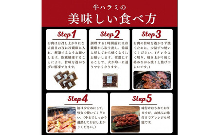 訳あり 牛ハラミ 特製たれ漬 1.2kg【順次発送】 ハラミ