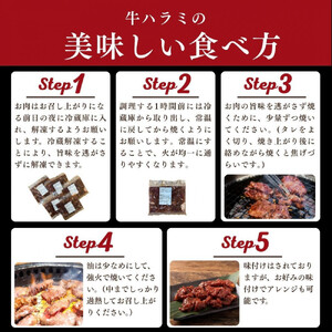 訳あり 牛ハラミ 特製たれ漬 600g【9月発送】 ハラミ