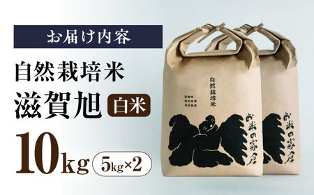 【新米先行予約】滋賀旭 白米5kg×2  [AQCP042] |白米