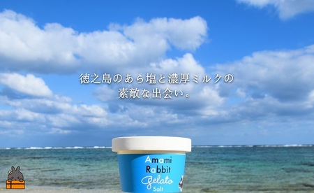 《年末（12月）お届け！》ふるさと納税限定 美ら海の塩と濃厚ミルク。アマミラビットジェラート（Salt：8個）( アイス ジェラート スイーツ ウサギ うさぎ アマミノクロウサギ 濃厚 プレゼント ギフト 限定 世界自然遺産 徳之島町 鹿児島 人気 )