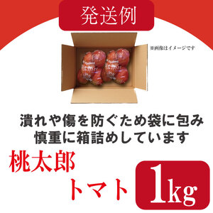【訳あり】 【2027年3月発送】 桃太郎トマト 約1kg 先行予約 トマト