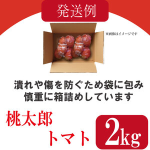 【訳あり】 【2027年2月発送】 桃太郎トマト 約2kg 先行予約 トマト