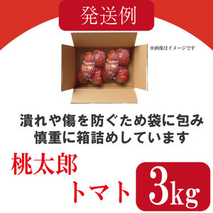 【訳あり】 【2027年1月発送】 桃太郎トマト 約3kg 先行予約 トマト