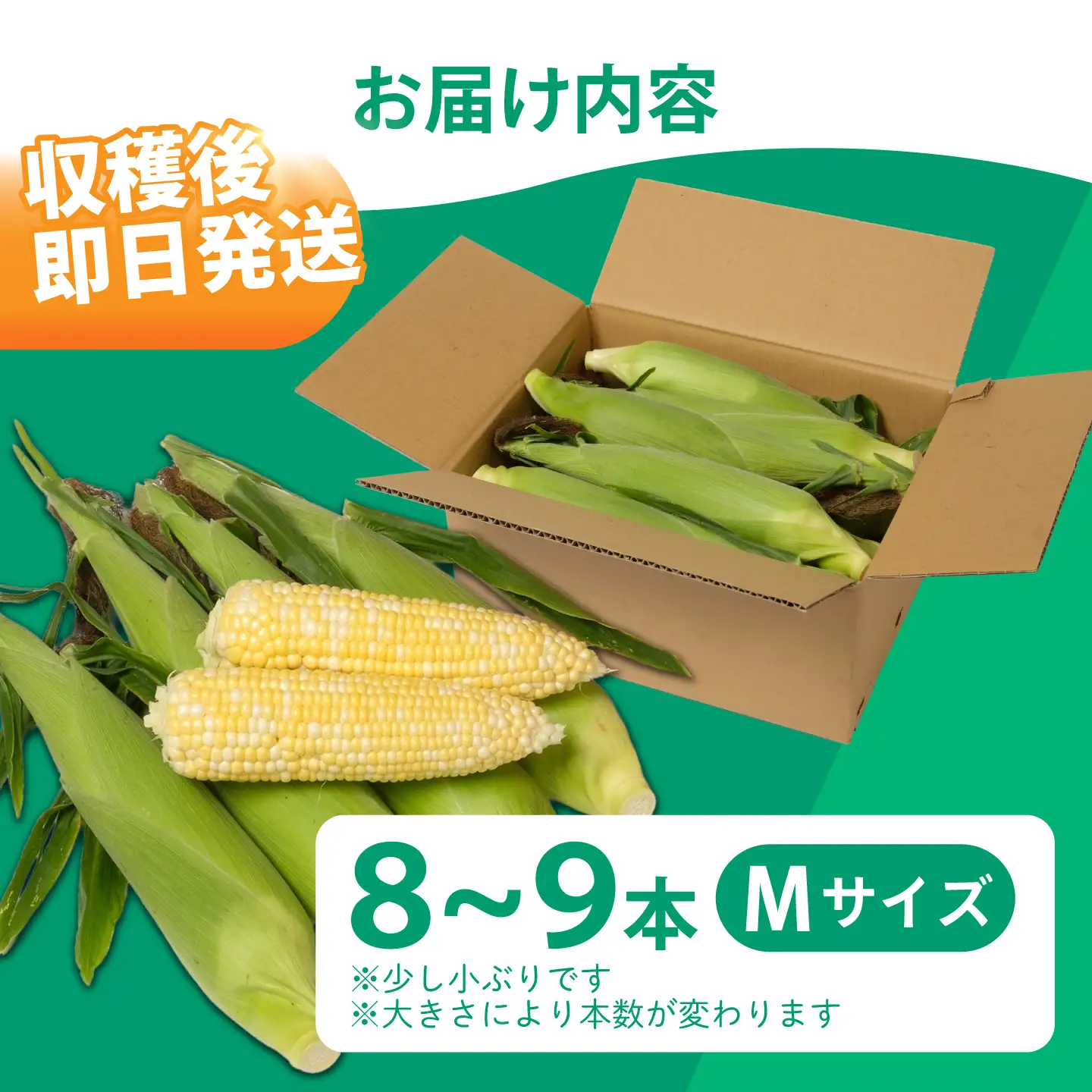 有機とうもろこし 8本～9本 とうもろこし[BNAP001]