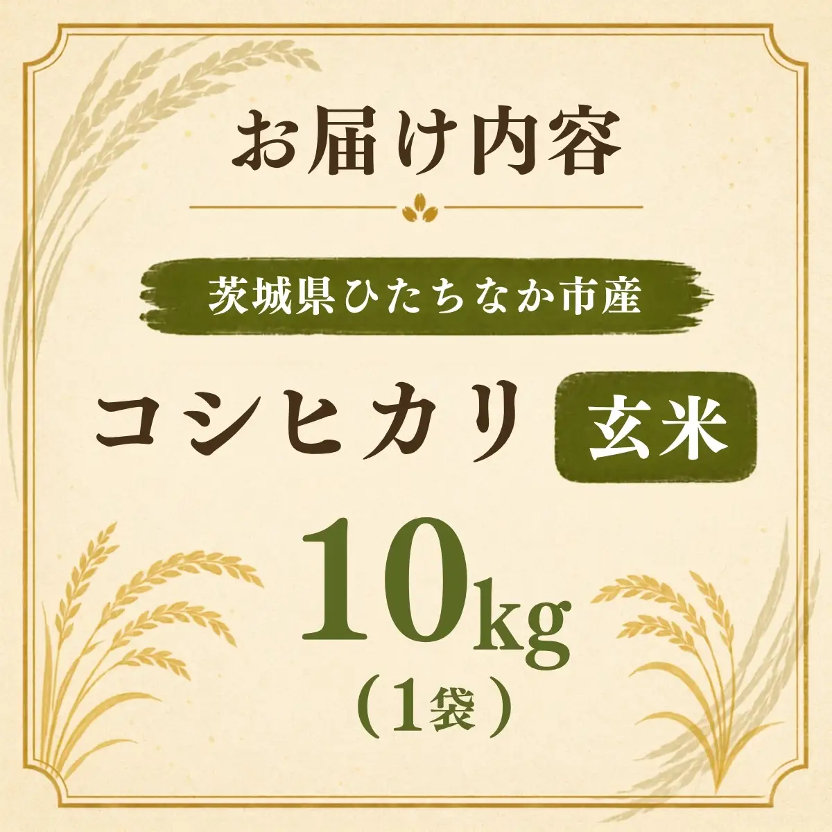 令和8年度米 コシヒカリ 玄米 10kg 農家直送 | 新米 令和8年 先行受付 期間限定 