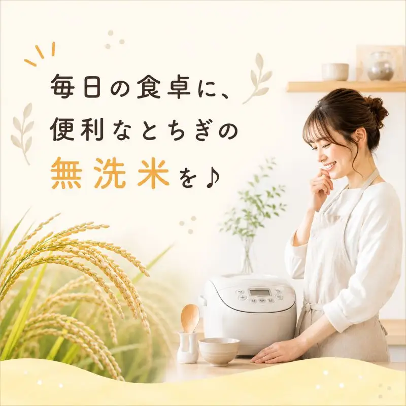 【先行予約】栃木県産コシヒカリ 無洗米 10kg 【栃木県共通返礼品】