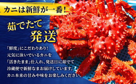 ［冷蔵便］茹でたて直送！北海道産 朝茹で 花咲ガニ 約700g×1尾【 かに カニ 蟹 花咲ガニ 花咲蟹 海鮮 魚介 海の幸 海産物 家庭用 冷蔵 北海道 十勝 幕別 】