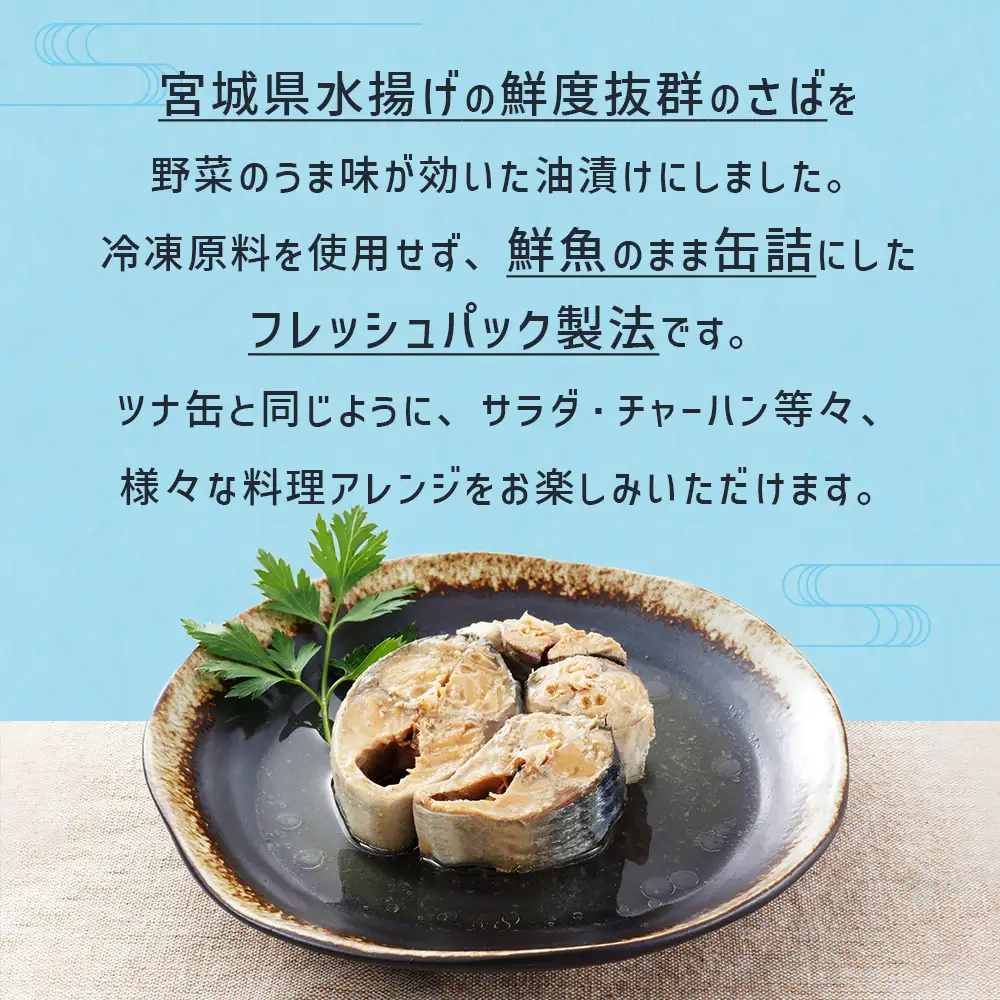 お試し！ 青魚 食べ比べ セット サバ缶 サンマ缶 イワシ缶 青魚 食べ比べ 缶詰 詰め合わせ お試し 常温 木の屋 魚 水煮 味噌煮 醤油 味付 いわし 鰯 さば サバ 鯖 秋刀魚 さんま サンマ 塩 サラダサバ 国産 鮮魚 缶 缶つま おつまみ 常温保存 長期保存 防災 非常食 キャンプ アウトドア 宮城県 石巻市 石巻