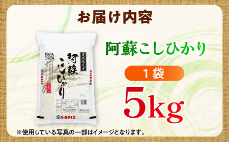 【令和7年産】熊本県産 阿蘇コシヒカリ 5kg 白米 コシヒカリ[BHBP001]