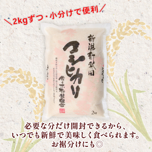【新米受付開始！】 特別栽培米 米 コシヒカリ 計4kg 2kg × 2袋 米 白米 ご飯 料理 おにぎり 弁当 新潟県 新潟産 新発田産 コシヒカリ 佐々木耕起組合 新潟県 新発田市 非常食 備蓄 米 米 米 米 米 ssk002