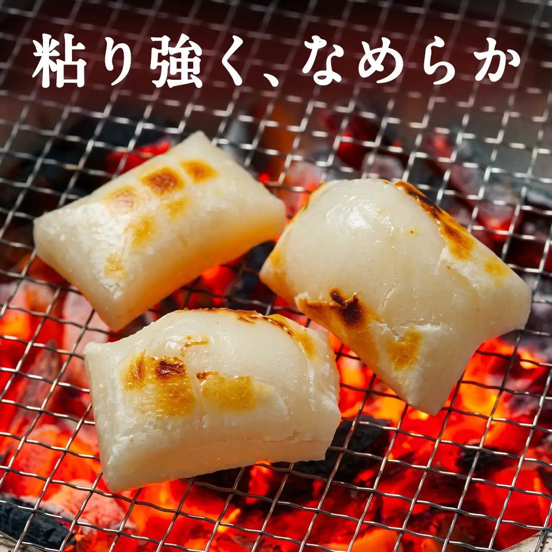 もち米 精米 2kg マンゲツモチ 栽培期間中無農薬 米 こめ  (BJ023)