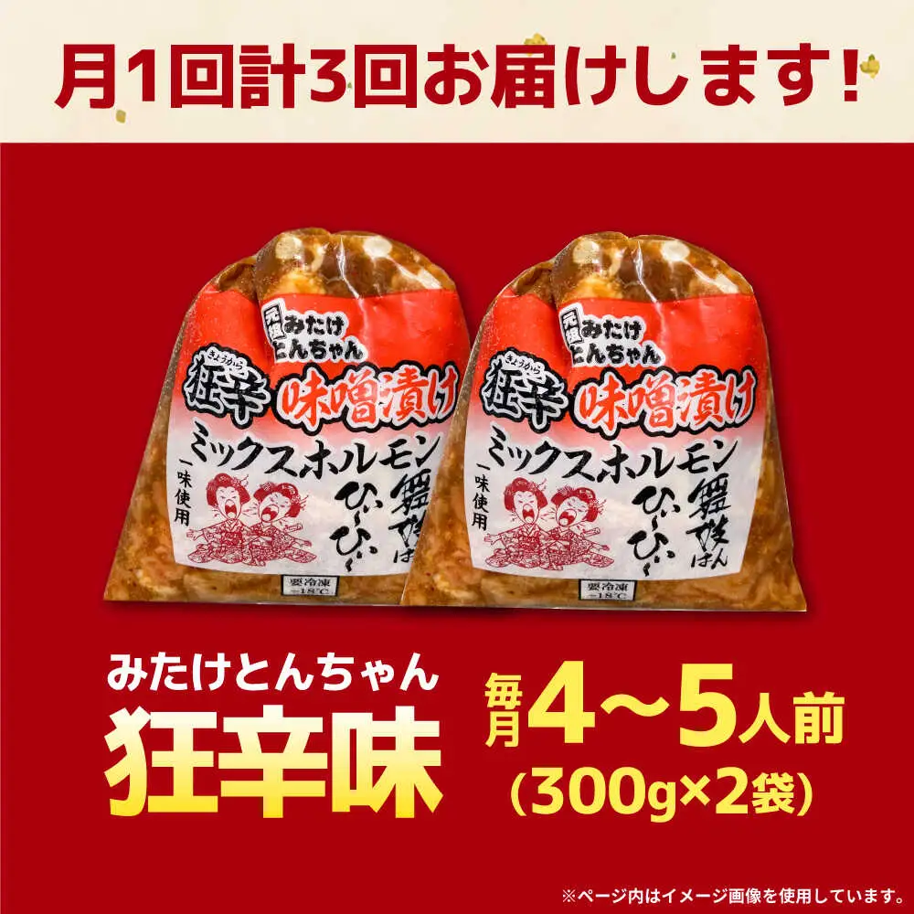 【3回定期便】「元祖みたけとんちゃん」 狂辛 味噌漬け ミックスホルモン 2袋[AVAA064]ホルモン 辛口