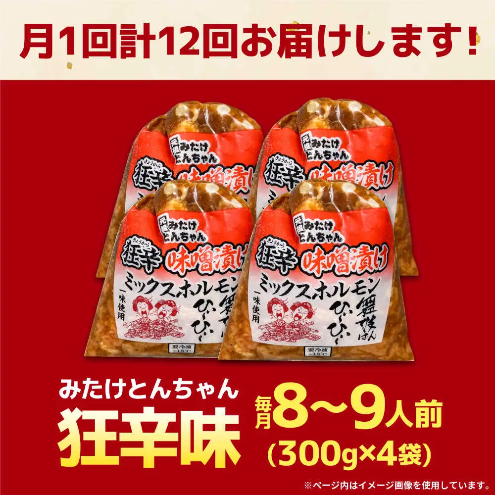 【12回定期便】狂辛味噌漬けミックスホルモン4袋（8人前） [AVAA072]つまみ定期