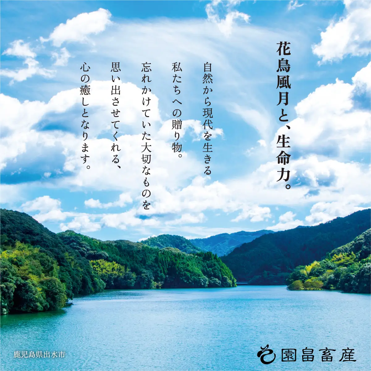 i1143 《希少な1％》園畠牛A5「卵くぐらせのさだめ」200g×2パック(計400g) 鹿児島県出水市 黒毛和牛 牛 牛肉 ステーキ モモ セット 鹿児島県産 国産 九州産 A5 A5等級 ブランド牛 冷凍 プレゼント 焼肉 BBQ 園畠牛 【園畠畜産】