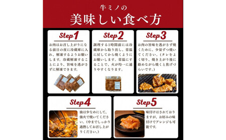 ホルモン 牛ミノ ピリ辛漬 900g 【11月発送】 ホルモン