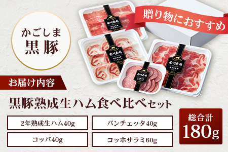 南州農場 黒豚熟成生ハム 4種食べ比べ セット 冷蔵 | 国産 肉 お肉 豚肉 豚 にく ぶた かごしま黒豚 生ハム 最高峰 熟成ハム コッパ パンチェッタ コッホサラミ スパイス サラミ 詰め合わせ 産地直送 ギフト プレゼント 贈り物 鹿児島県 南大隅町　NS-9