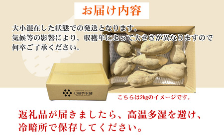 【先行予約】【数量限定】 新居大島の遺伝子を受け継ぐ幻のさつまいも 「七福芋（白いも）」 新居大島原産・本土栽培品 2kg