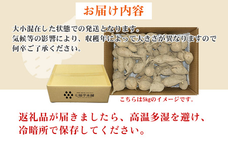 【先行予約】【数量限定】 新居大島の遺伝子を受け継ぐ幻のさつまいも 「七福芋（白いも）」 新居大島原産・本土栽培品 5kg