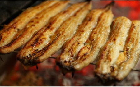 【６回定期便】炭火手焼のうなぎ蒲焼130g×３尾セット 蒲焼のたれ付き - 鰻 ウナギ タレ付き たれ 夕飯 夕食 ご飯のお供 うな丼 うな重 丼ぶり ひつまぶし おつまみ 養殖 土用の丑の日 スタミナ 国産 高知県 香南市 冷凍 Wfb-0031