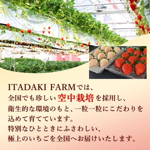 いちご 冷凍いちご フルーツ 果物 いちご【1kg】【訳あり】【冷凍】