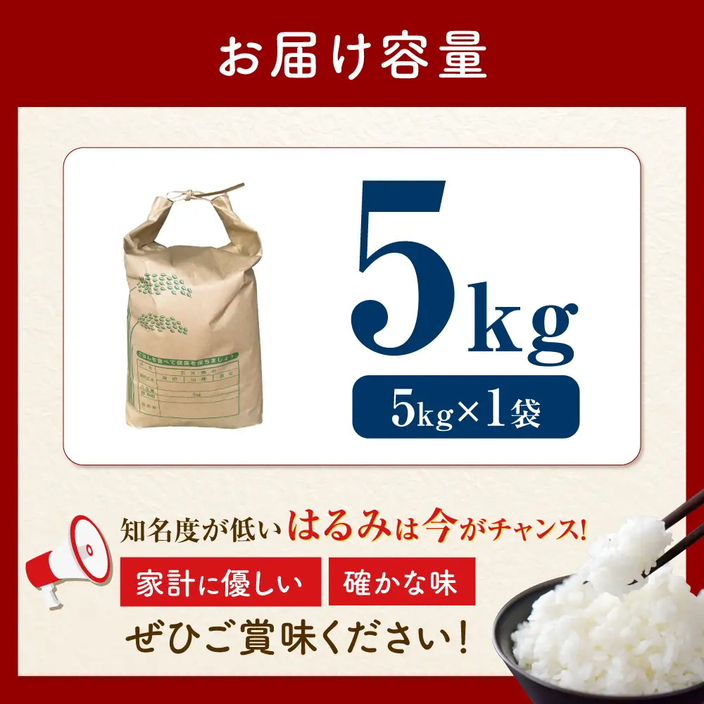 精米 はるみ 5kg 米 [BDBB002] 