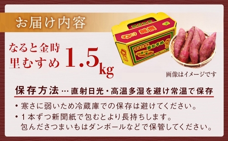【予約受付中・2026年9月下旬頃より順次発送】なると金時 里むすめ 1.5kg　鳴門金時　さつま芋　サツマイモ　