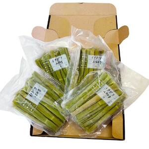 イタドリの塩漬け 250g×4パック 1kg 1キロ 山菜 いたどり 下処理済み 野菜 春の食材 虎杖 スカンポ イタズリ 炒め物 食品 お取り寄せ 真空 冷凍 配送【R01449】