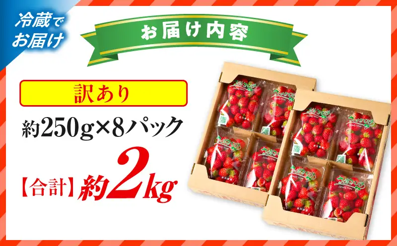 【先行予約】訳あり 苺音クラフト～加工用さぬきひめいちご約2kg | おすすめ 人気 果実 果肉 果物 フルーツ デザート 贈り物 苺 さぬきひめ 贈答 ご褒美 旬の果物 季節の果物 旬 季節 青果物 香川県 三木町 |_mk137-007