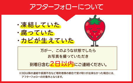 いちご【1月中旬以降発送】朝採れとちあいか×とちおとめ レギュラーサイズ 食べ比べセット 各約270g × 2パック 合計1080g |イチゴ いちご