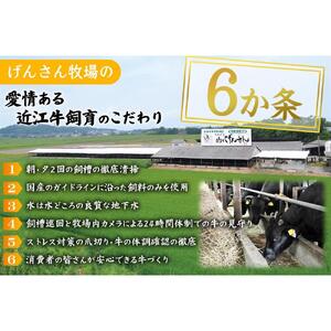 近江牛 A5ランク 切落し 700g