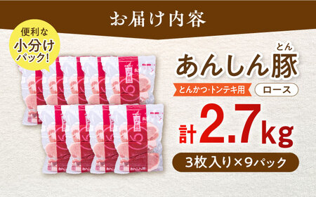 とんかつ・トンテキ用 ロース 計27枚 藤井ファーム[AWAF066]豚ロース