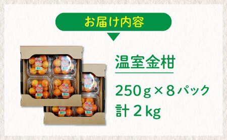 【先行予約】＜2026年発送＞温室金柑 1kg 2箱（250g×8パック）_K001-026