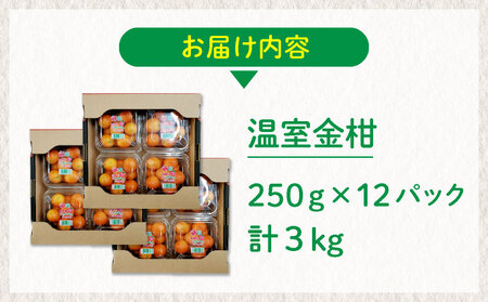 【先行予約】＜2026年発送＞温室金柑 1kg 3箱（250g×12パック）_K001-027
