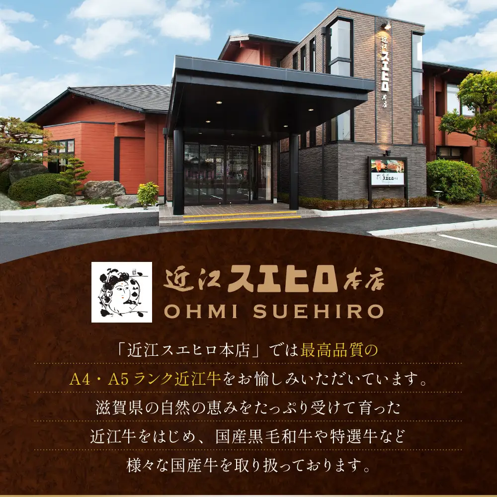 近江スエヒロ本店　近江牛合挽ハンバーグ12食セット