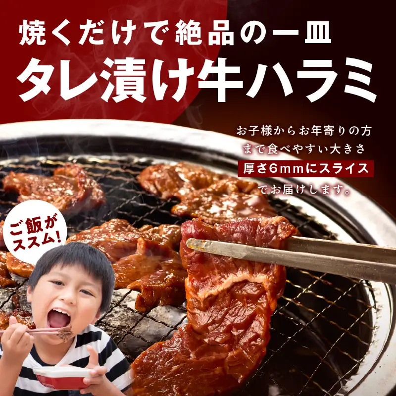 牛タン＆牛ハラミ お試し 1kg 焼肉セット