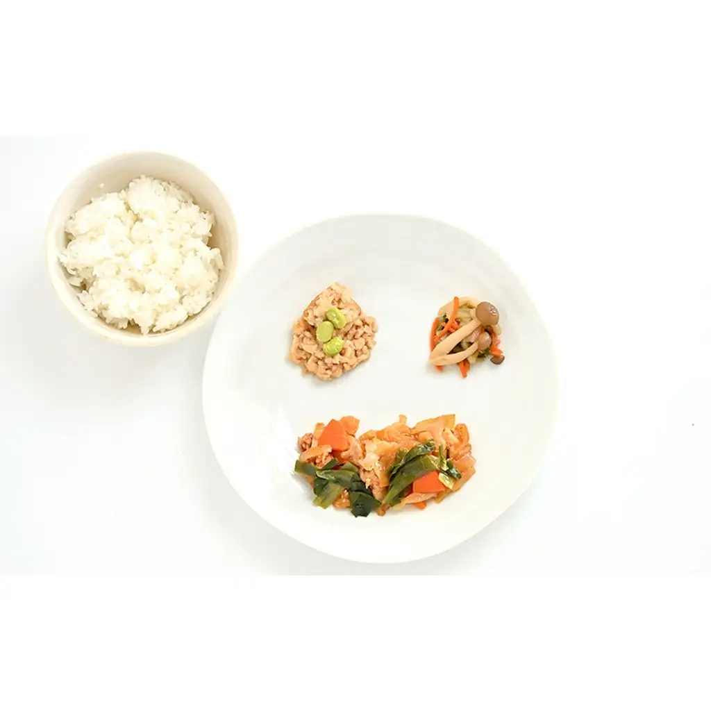 【ランダム10種】いろどりおかずプレート 冷凍ごはんセット 非常食 おかずプレート