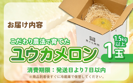 ユウカメロン 1玉 1.5kg以上【2027年6月中旬以降発送】メロン フルーツ[A-21219]