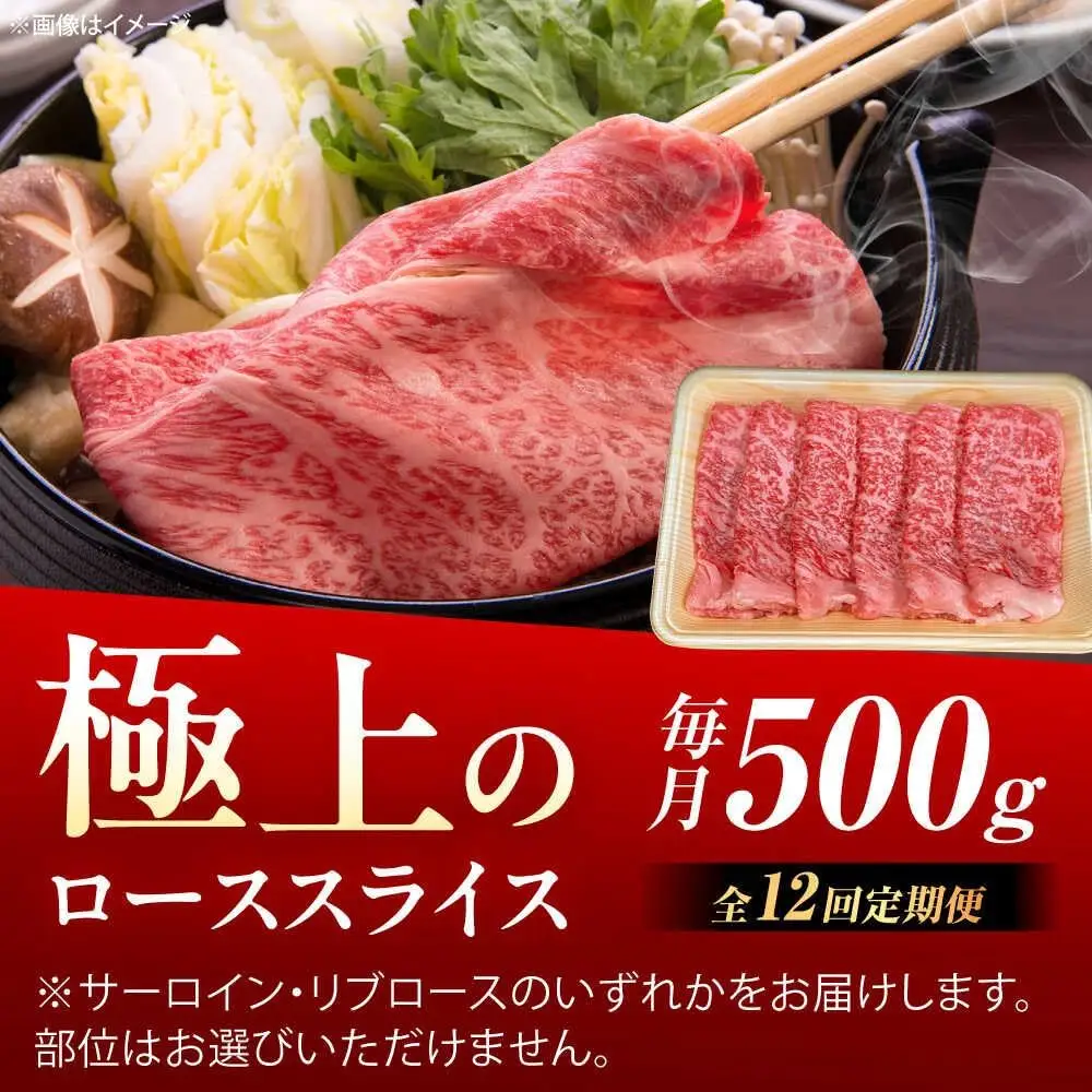 【12回定期便】佐賀牛 ローススライス すき焼き・しゃぶしゃぶ用 500g /MKミート武雄[UEM042] しゃぶしゃぶ