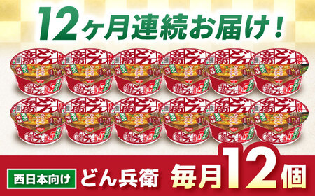【全12回定期便】どん兵衛 天ぷらそば 12食 BIBI020 どん兵衛