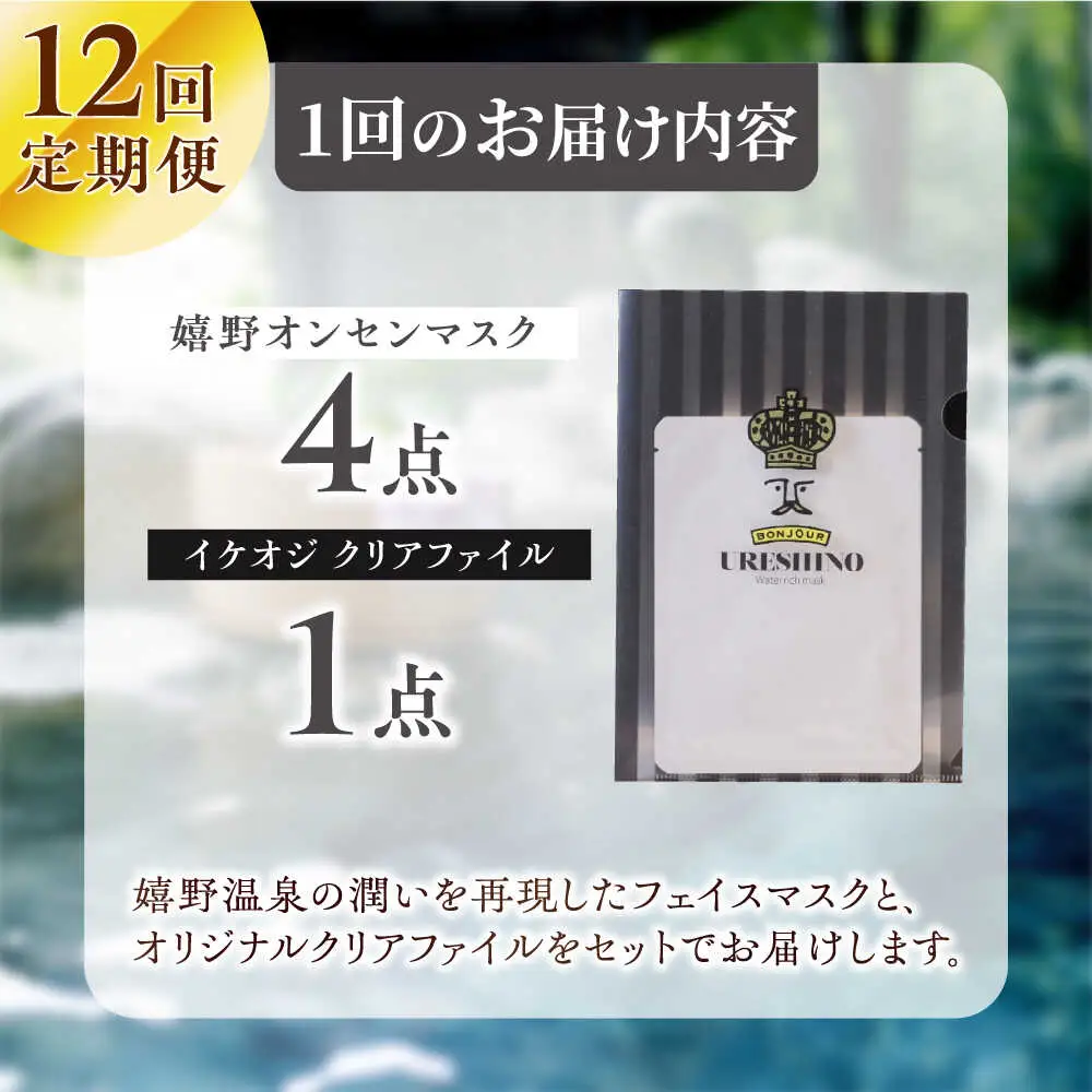 【定期便】 スキンケア 美容マスク NCV109 スキンケア 全12回