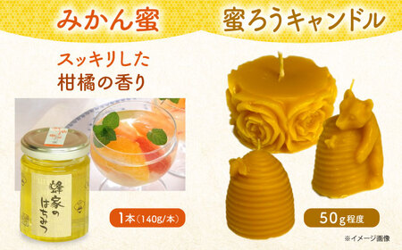 国産はちみつ5種と蜜ろうキャンドルセット[APCB004] はちみつ