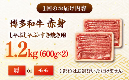 【全12回定期便】【訳あり！】A4ランク以上！博多和牛 赤身（肩・モモ）霜降り しゃぶしゃぶすき焼き用 1.2kg 桂川町/株式会社 MEAT PLUS [ADAQ137] 赤身 すきやき 国産 和牛 牛肉 スライス