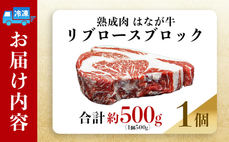 ＜熟成肉 はなが牛リブロースブロック約500g（500g×1個）＞ 牛肉 ステーキ 鉄板焼き 焼き肉 国産 塊肉 かたまり 霜降り しもふり バーベキュー BBQ キャンプ アウトドア 特産品 ゆうぼく 愛媛県 西予市【冷凍】『2か月以内に順次出荷予定』UYB0020