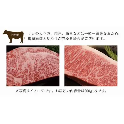 【 3ヶ月定期便 】【 常陸牛 】煌 サーロイン ステーキ 300g ( 1枚 ) ( 化粧箱入り ) ( 茨城県共通返礼品 )