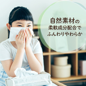 定期便 2ヵ月連続お届け エリエール ハーフサイズ 収納に便利 コンパクト 【少量5パック】 北海道ティシュー 300組 5箱×5パック 計25箱 なまらたっぷり 大容量 防災 常備品 備蓄品 消耗品 日用品